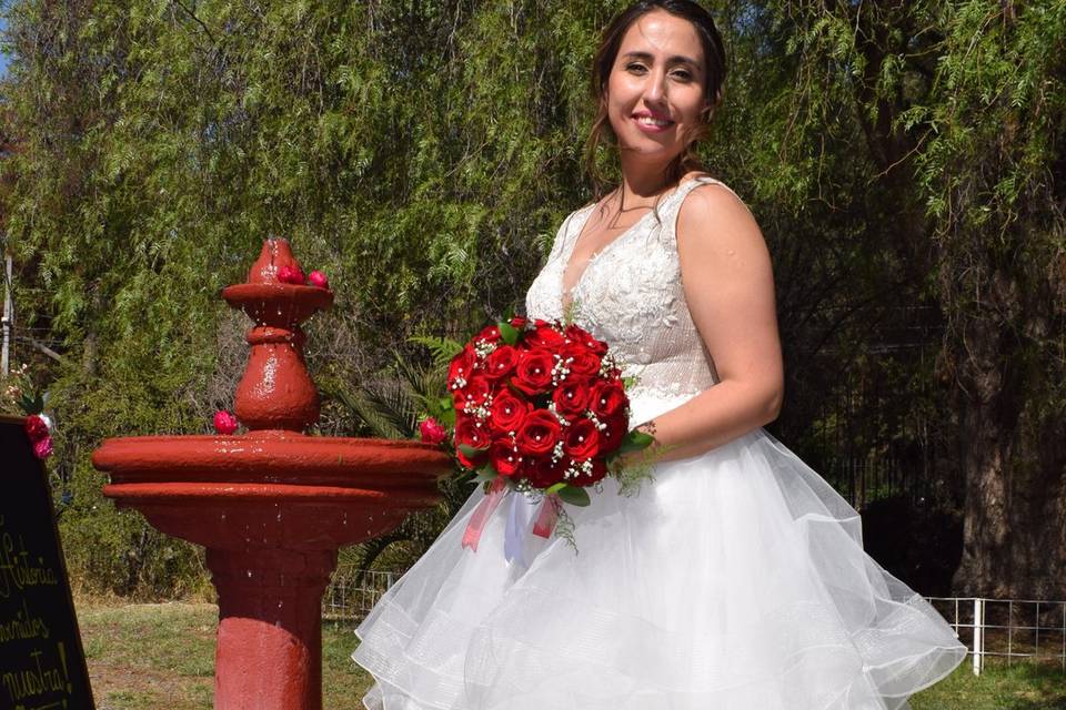 La novia fiesta