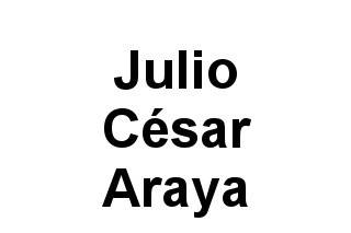 Julio César Araya Logo