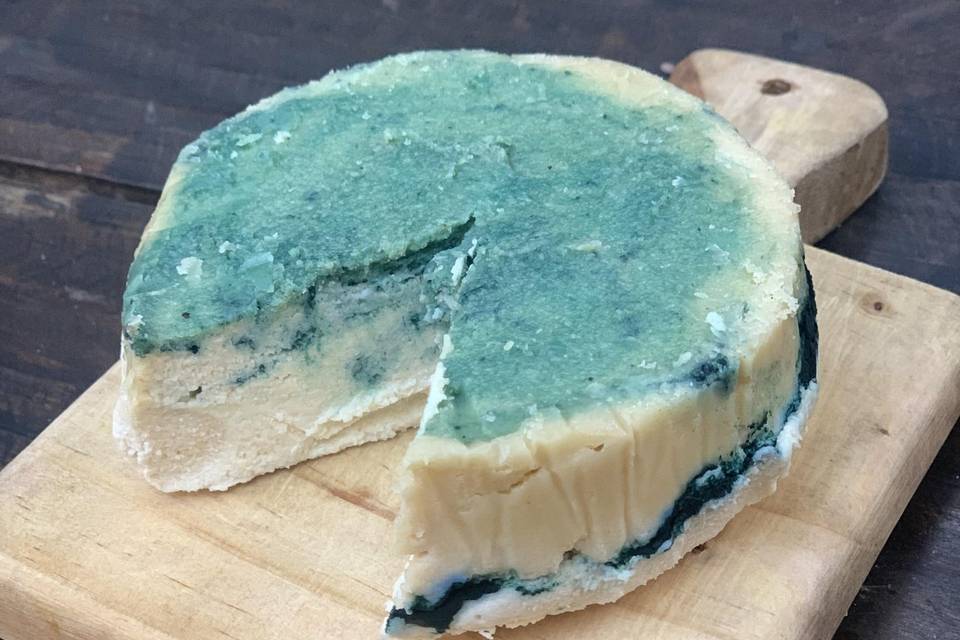 Queso de spirulina