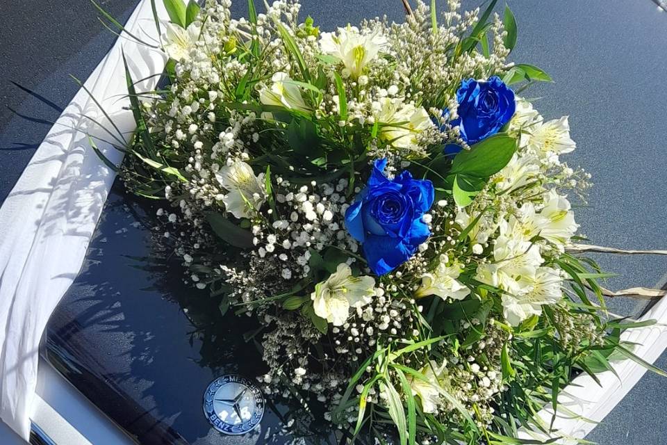 Flores Azules