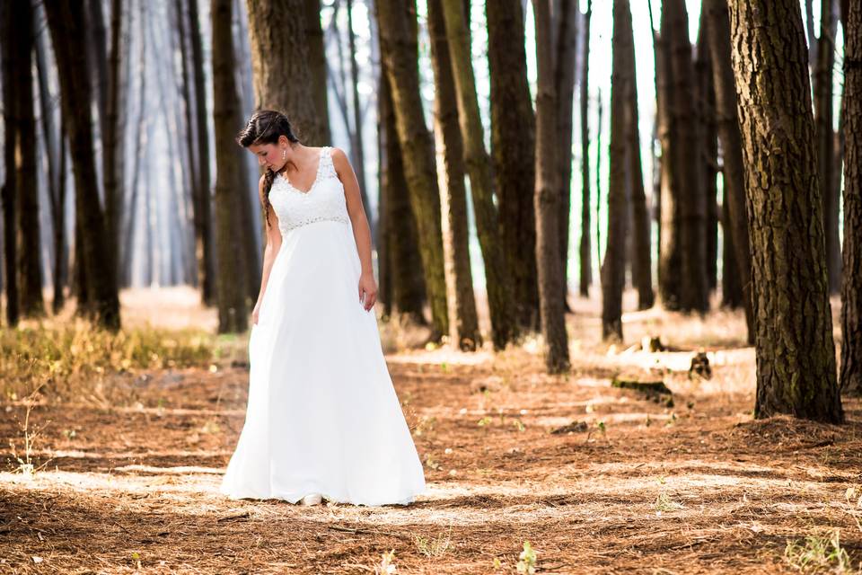 Novias Catedral