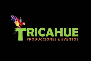 Tricahue Producciones y Eventos logo