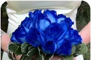 Ramos rosas azules