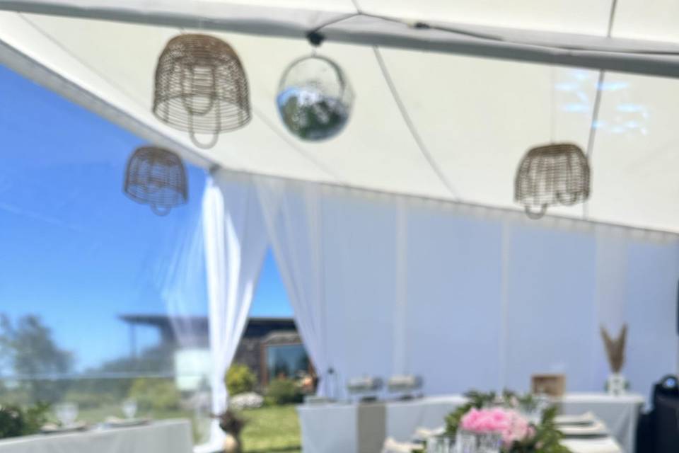 Matrimonio carpa