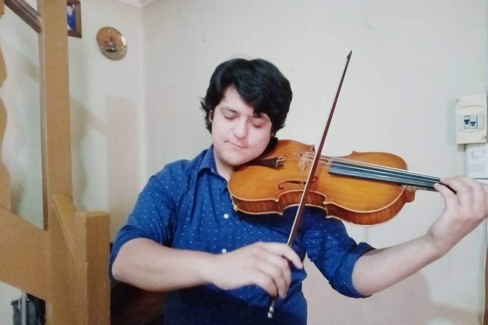 Raúl Violinista