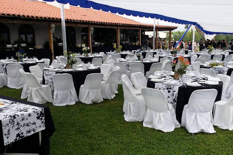 Matrimonio Melipilla noviembre