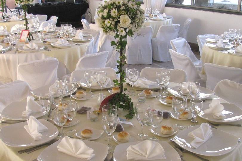 Elegancia y calidad