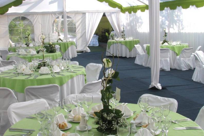 Master Eventos