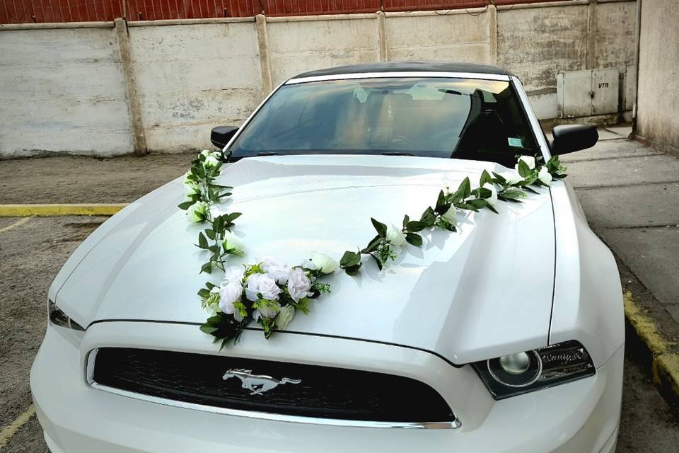 D&A EVENTOS