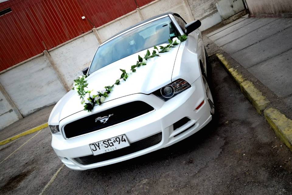D&A EVENTOS