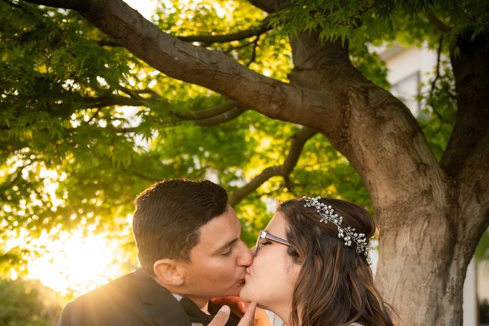 Novios besándose en el jardín