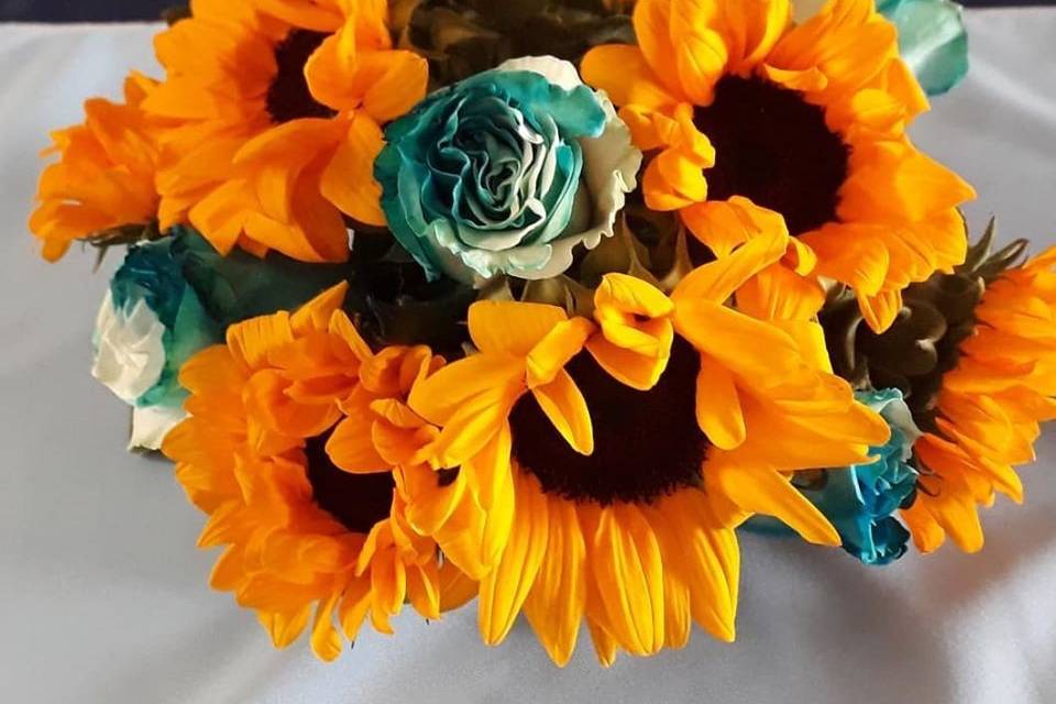 Girasoles