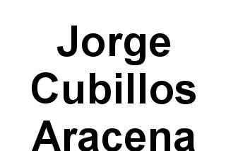 Jorge Cubillos Aracena