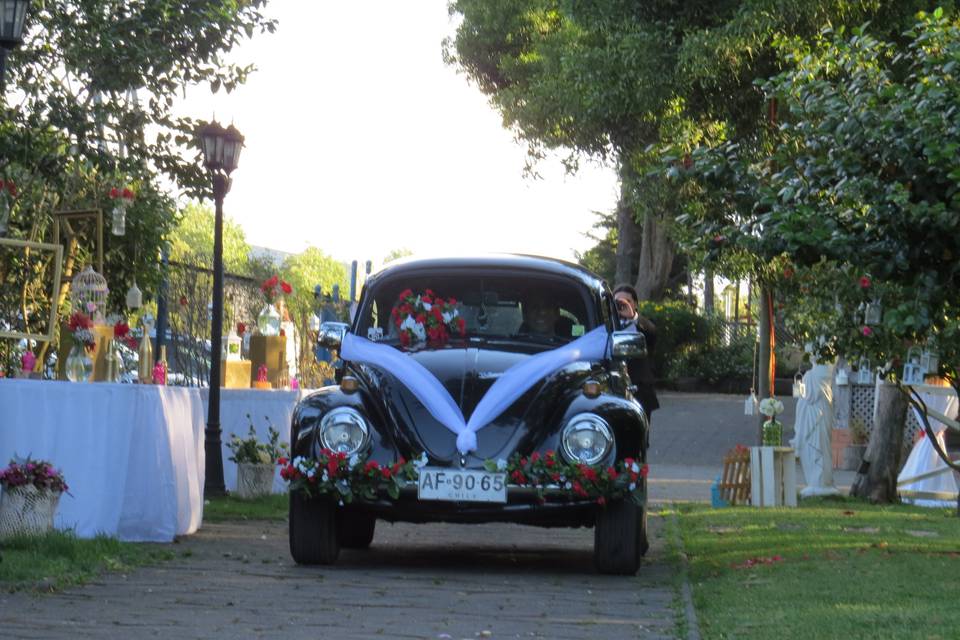 Auto hermoso