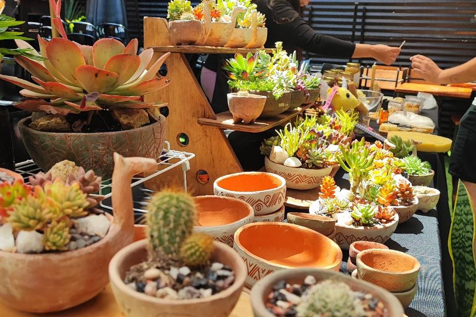 Macetas s cactus