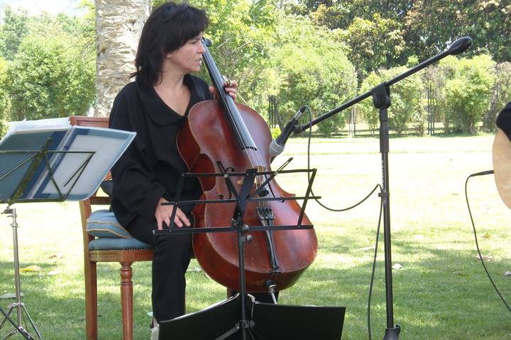 Cello Paquita Muñoz