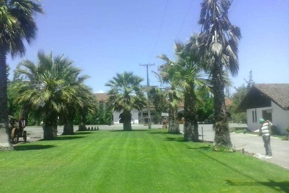 Jardín entrada
