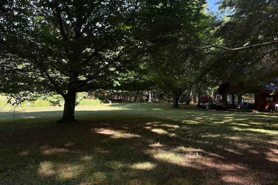 Areas verde