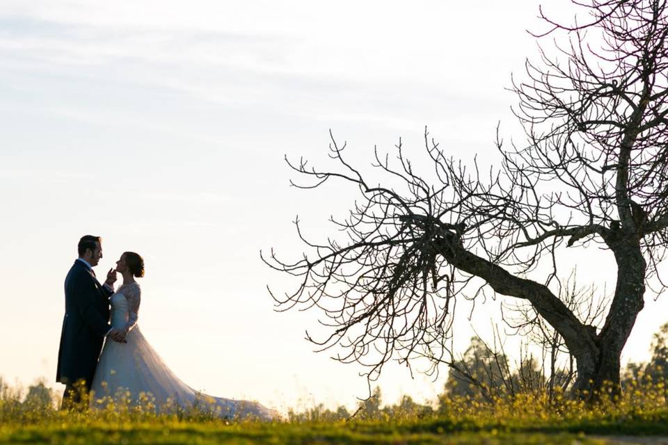 Video de bodas