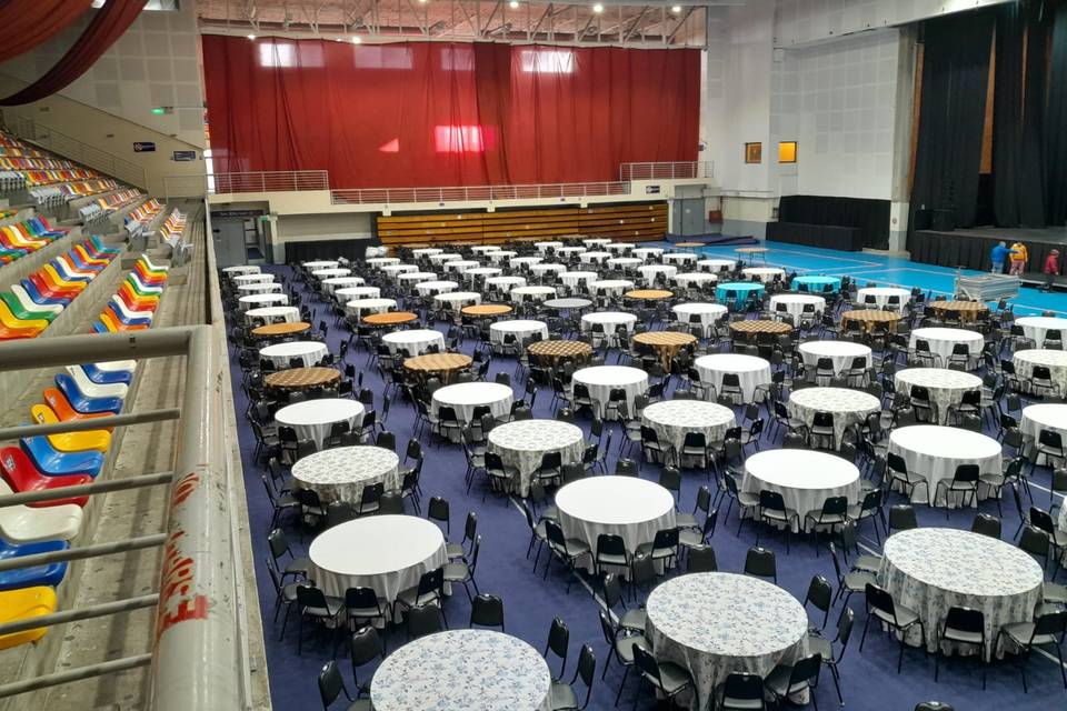 ARENA