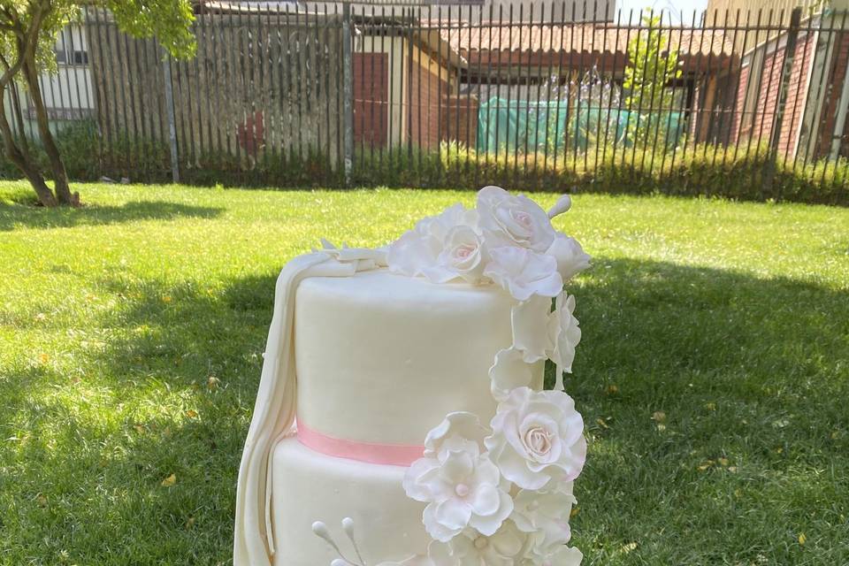 Pastel de bodas 2 en  1