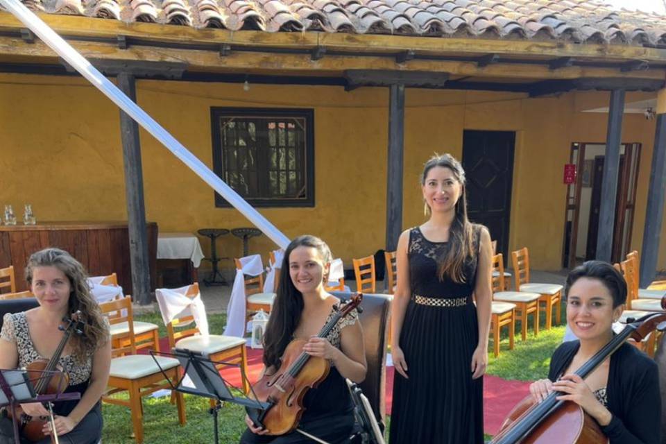 Cuarteto Venus