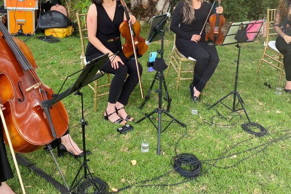 Cuarteto Venus