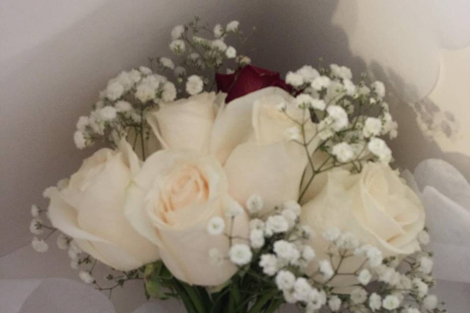 Rosas blancas 1 roja