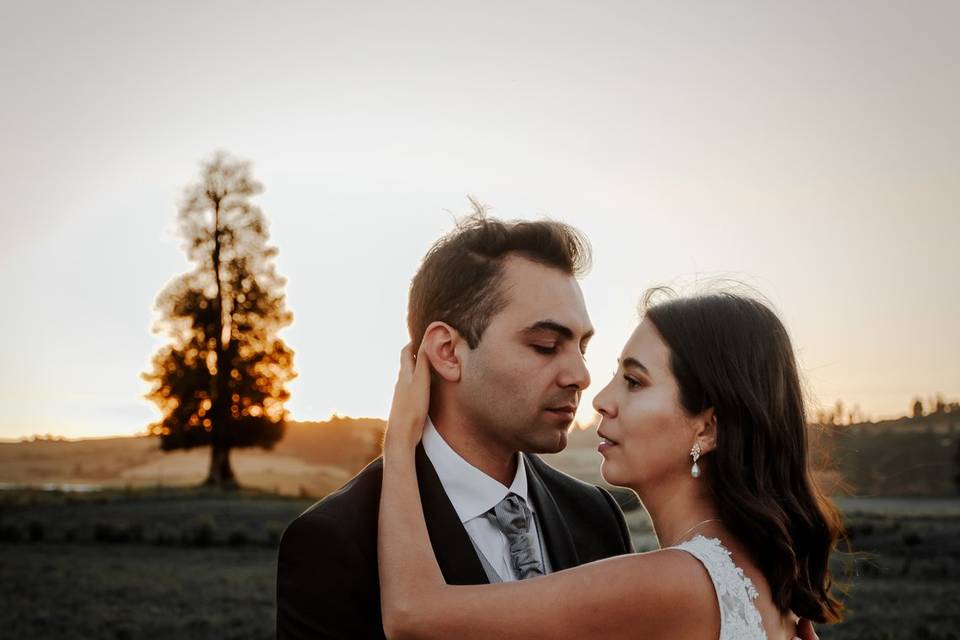 Sesión Postboda