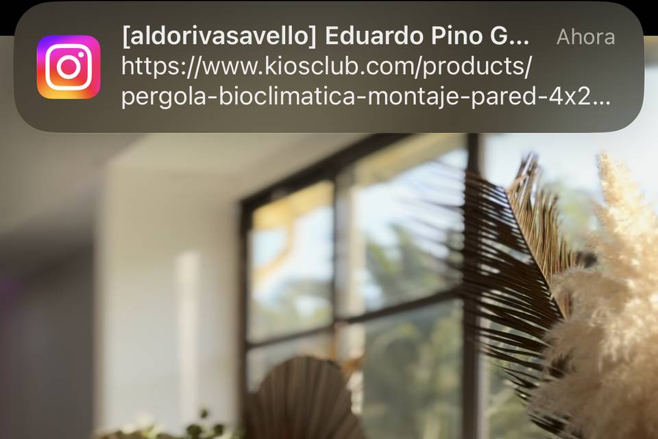 Decoración