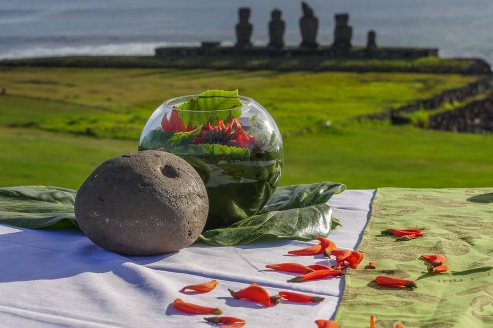Discover Rapa Nuii