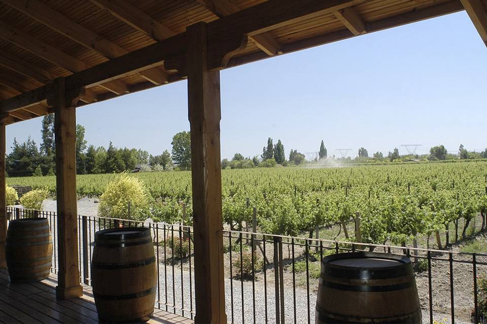 Terraza con vista