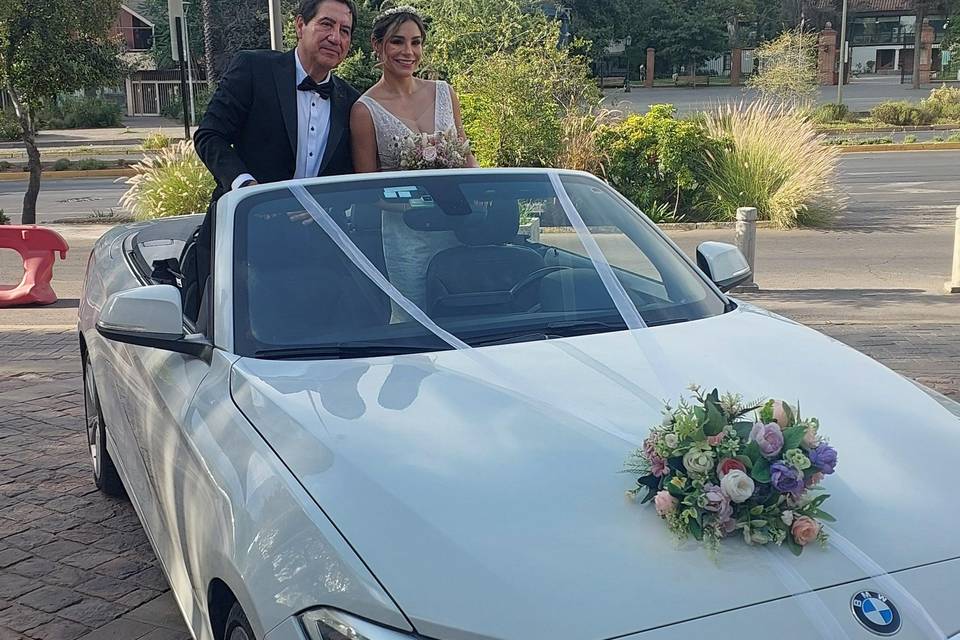 Bodas
