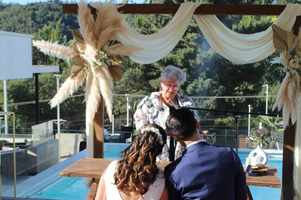 Novios