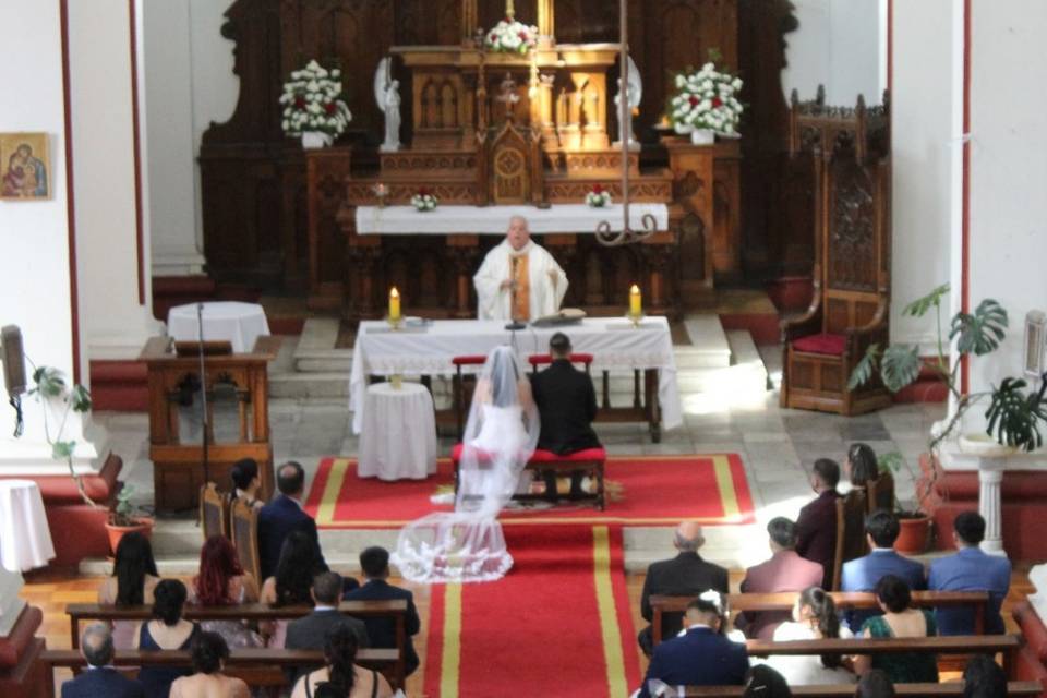 Novios