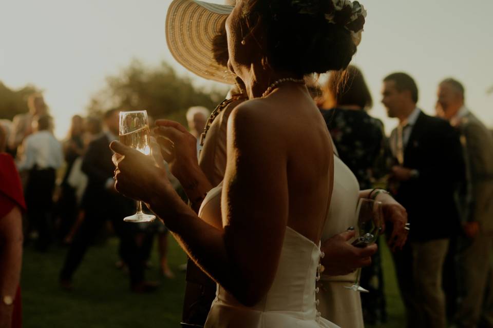 Brindis