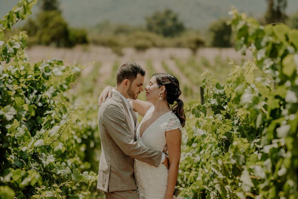 Villard Fine Wines