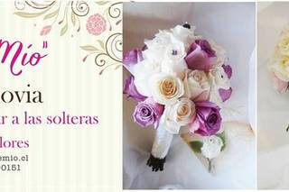 Amore Mío Floristería 2