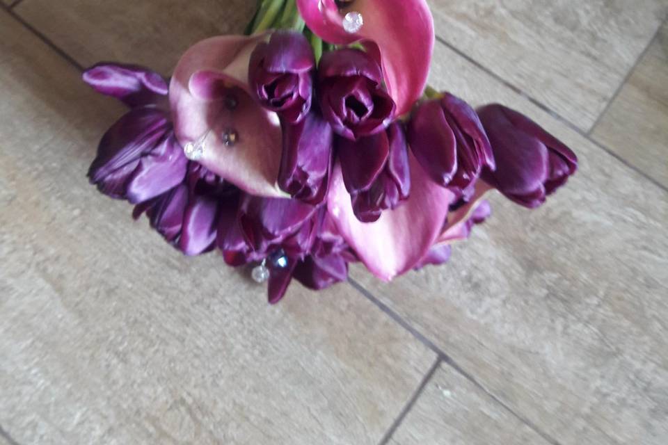 Calas tulipanes