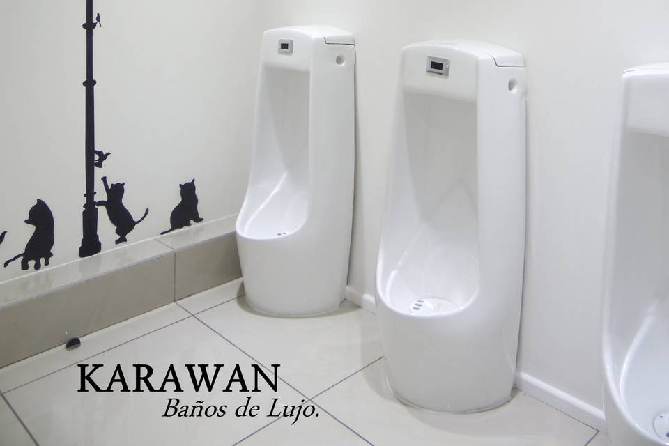 Urinarios con sensor