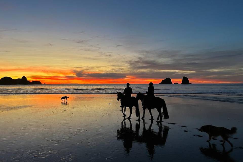 Cabalgata y los novios