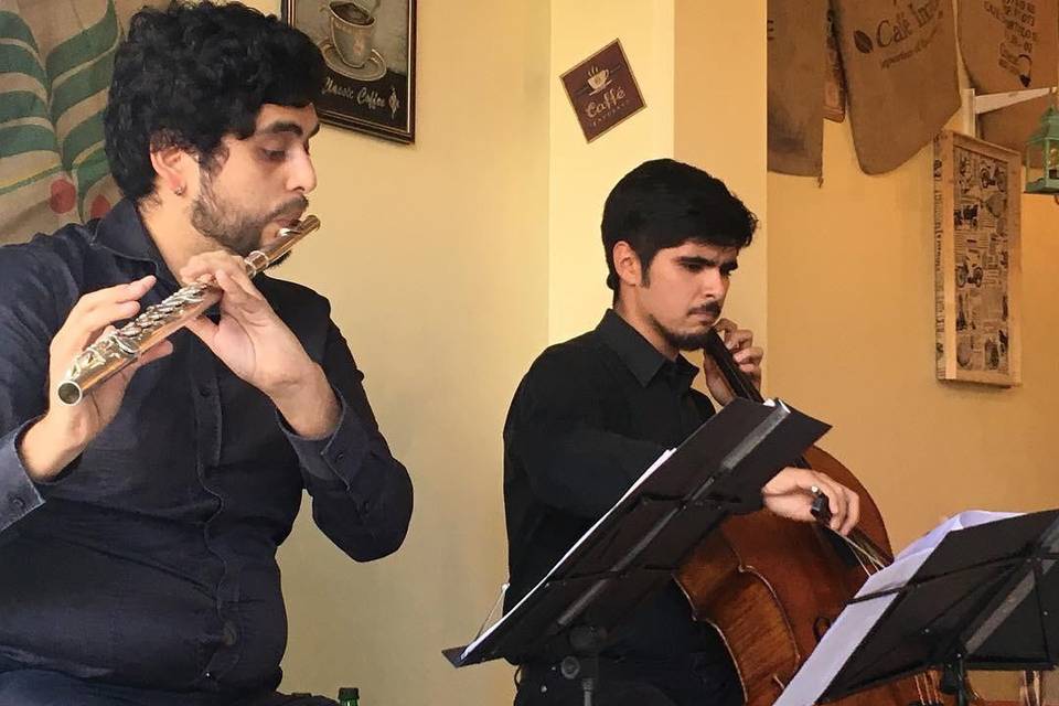 Café concert dúo instrumental
