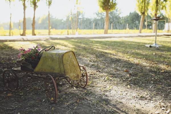 Decoración para matrimonio