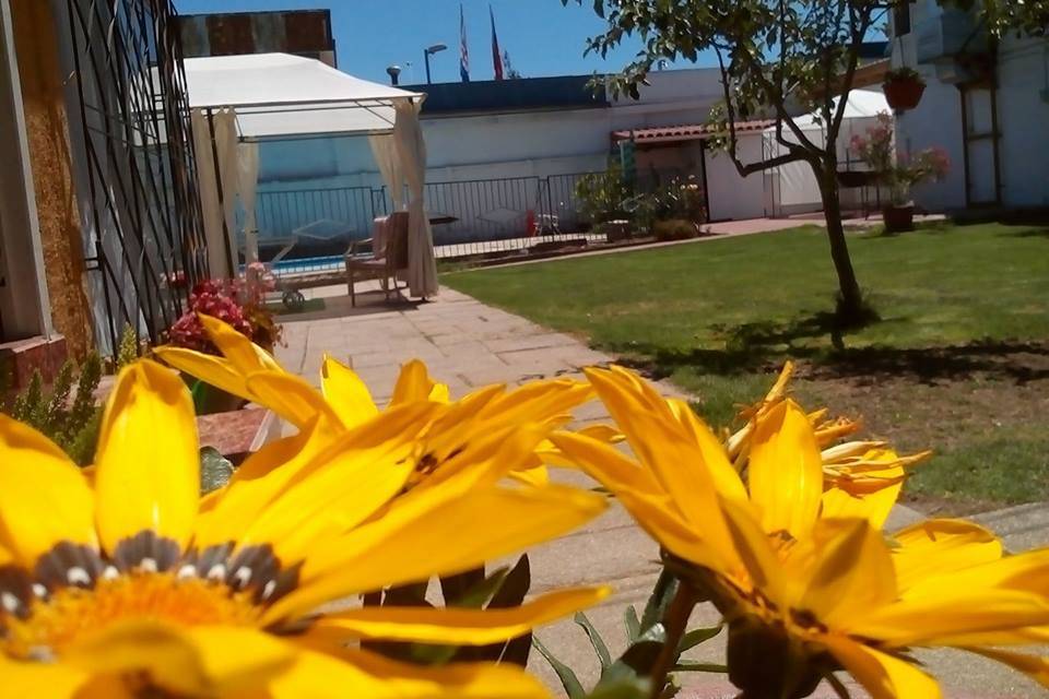 Jardines