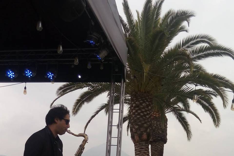 Saxofonista