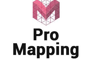 Pro Mapping