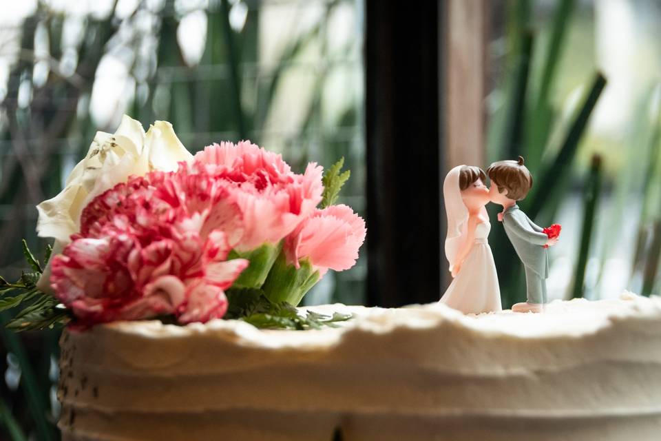 Boda Atacho+Aguillón