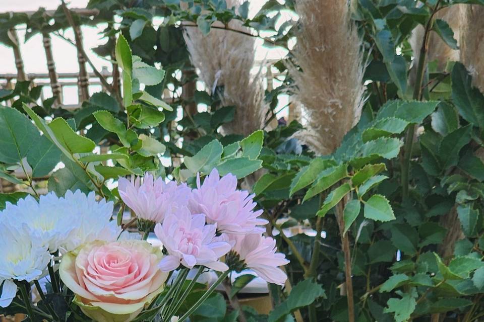 Flores