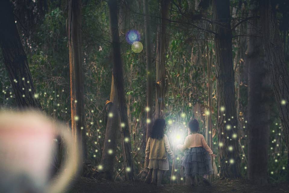 Magia en el bosque