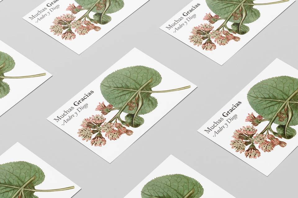 Tarjeta agradecimiento Botanic